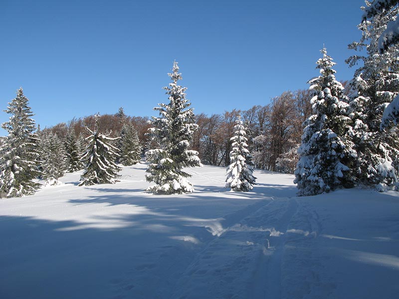 Winterlandschaft